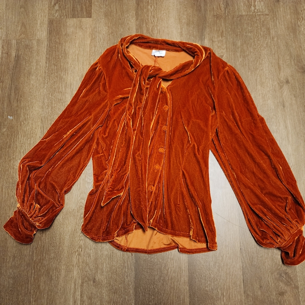 Unique Vintage burnt orange dress shirt